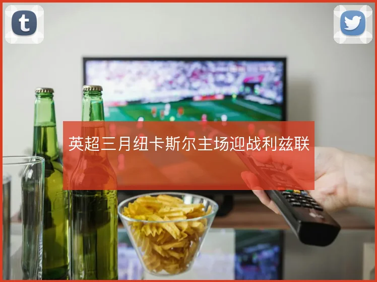 英超三月纽卡斯尔主场迎战利兹联