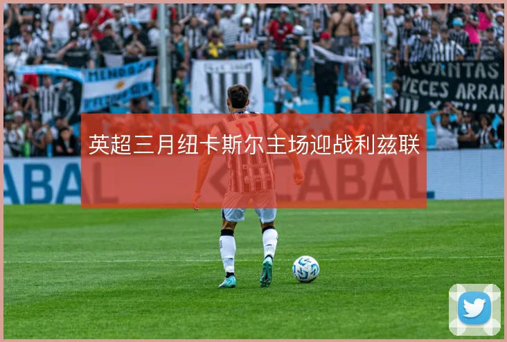 英超三月纽卡斯尔主场迎战利兹联