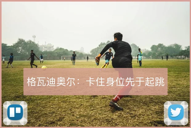 格瓦迪奥尔:卡住身位先于起跳